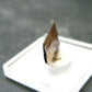 Large Brookite Crystal From Pakistan - 0.36 Grams - 16 mm