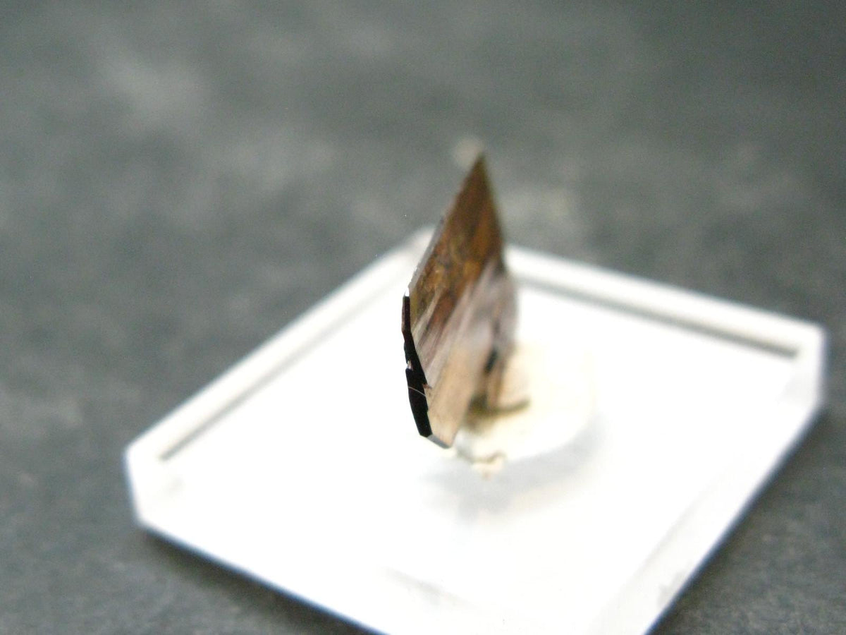Large Brookite Crystal From Pakistan - 0.36 Grams - 16 mm