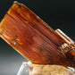 Huge Brookite Crystal From Pakistan - 4.25 Grams - 43 mm