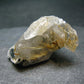 Large Rutilated Smoky Quartz Crystal from Brazil - 1.7" - 22.60 Grams