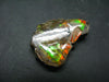 Ammolite Ammollite Fossil From Alberta Canada - 1.3" - 8.9 Grams