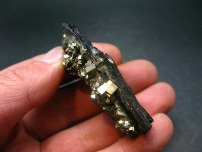 Wolframite & Pyrite Crystal From Portugal - 2.6"