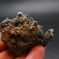 Brookite On Quartz Cluster From Arkansas - 42.9 Grams - 1.9"