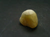 Agni Golden Danburite Tumbled Crystal From Tanzania - 0.9" - 14.15 Grams