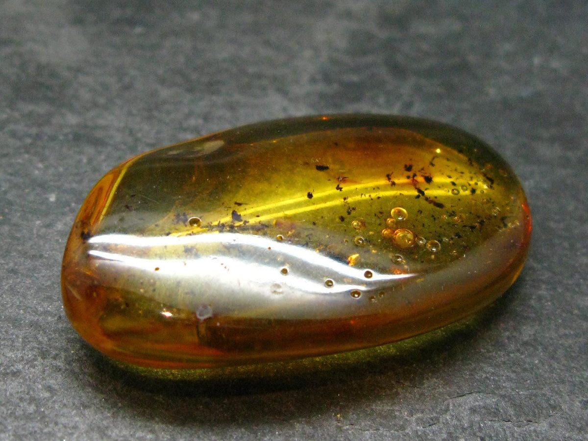 Insects in Amber Piece From Baltic Sea - 6.46 Grams - 1.7"