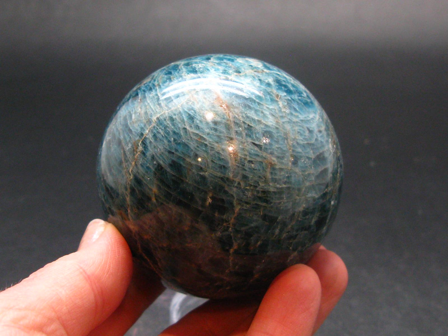 Large neon blue Apatite sphere from Madagascar- 365.94 - 2.3"
