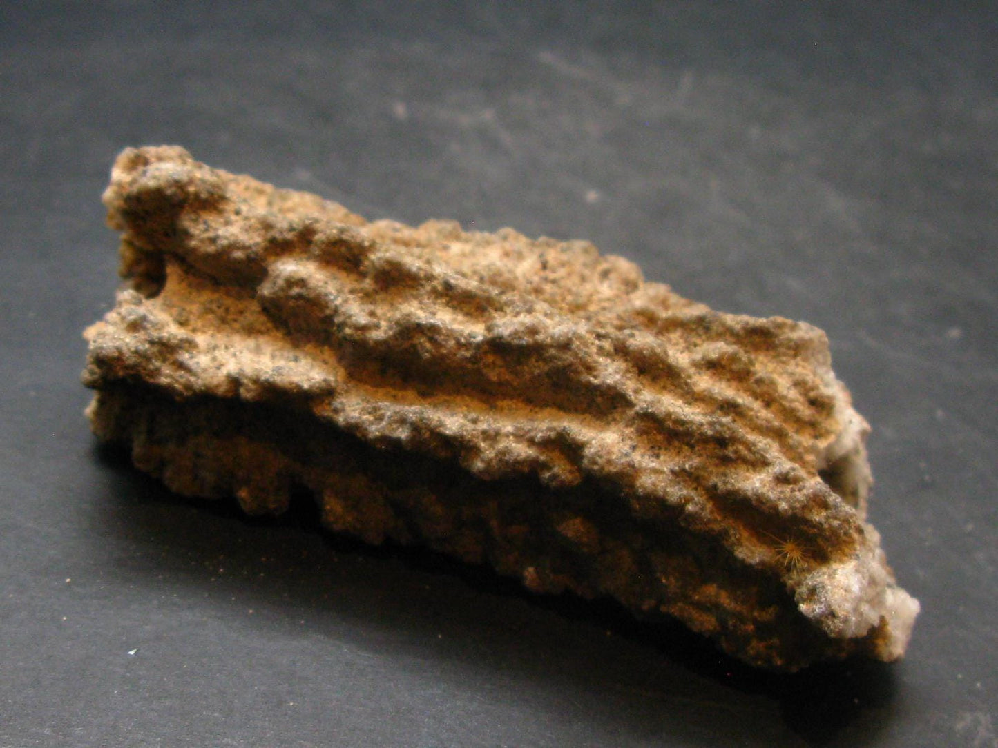 Large Fulgurite Lightning Rock From Sahara Desert - 3.2"