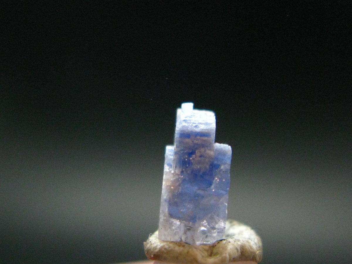 Fine Rare Carletonite Crystal From Mt. St. Hilaire Canada - 0.3" - 0.27 Grams