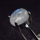 Natural Glow From Inside Moonstone 925 Silver Ring - 1.6 - Size 10.25
