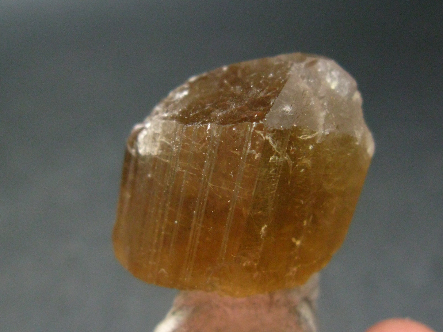 Golden Scapolite Crystal from Morocco - 68.15 Carats - 1.1"