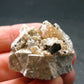 Large Natrolite Crystal from Canada - 1.2" - 17.93 Grams