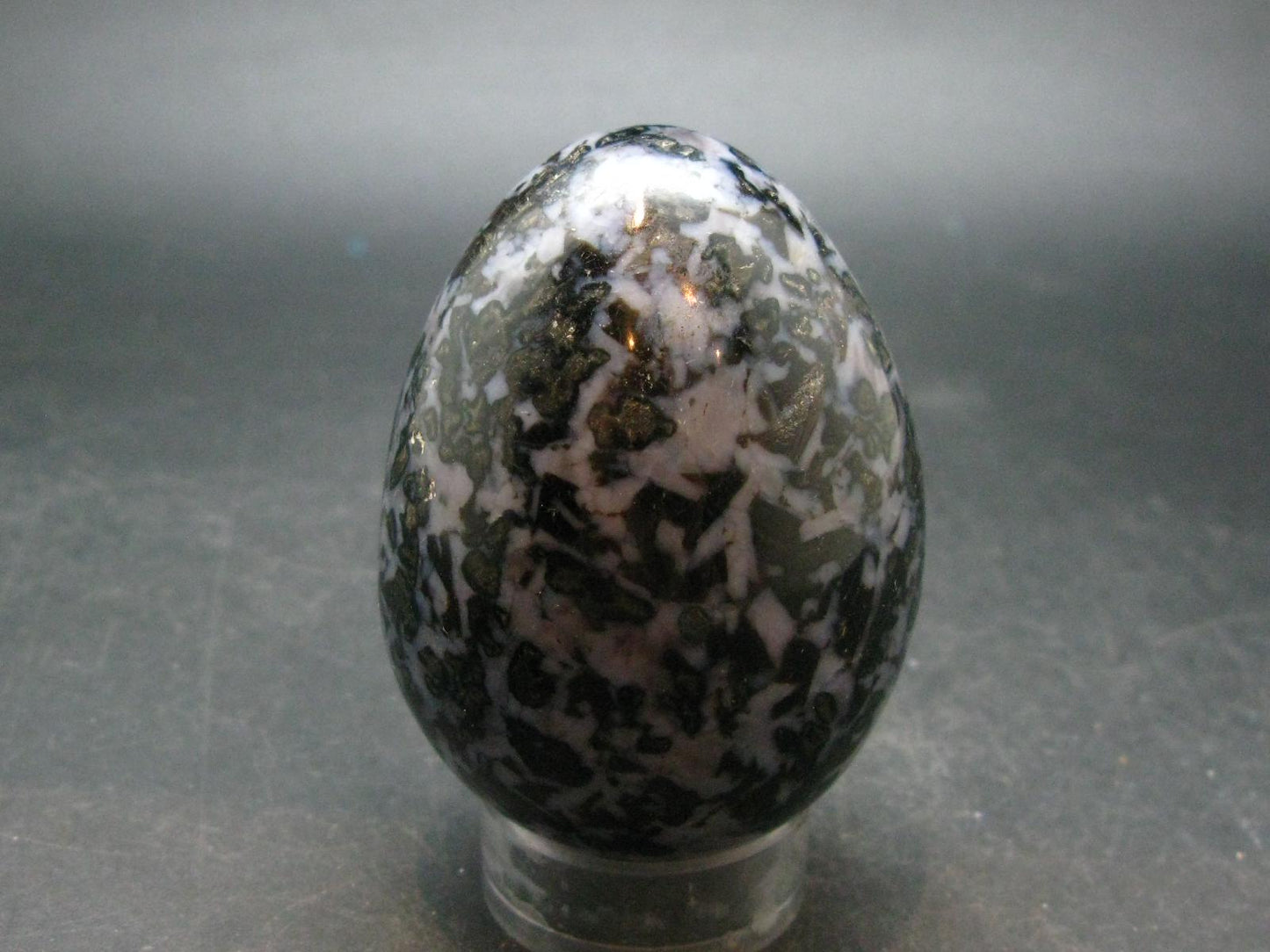 Rare Gabbro Mystic Merlinite Egg from Indian Ocean - 2.8" - 246.45 Grams