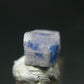 Fine Rare Carletonite Crystal From Mt. St. Hilaire Canada - 0.4" - 0.28 Grams