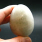 Natrolite Egg from Russia - 2.2" - 119.0 Grams