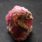 Rhodochrosite Gem Cluster From Peru - 1.1" - 16.65 Grams