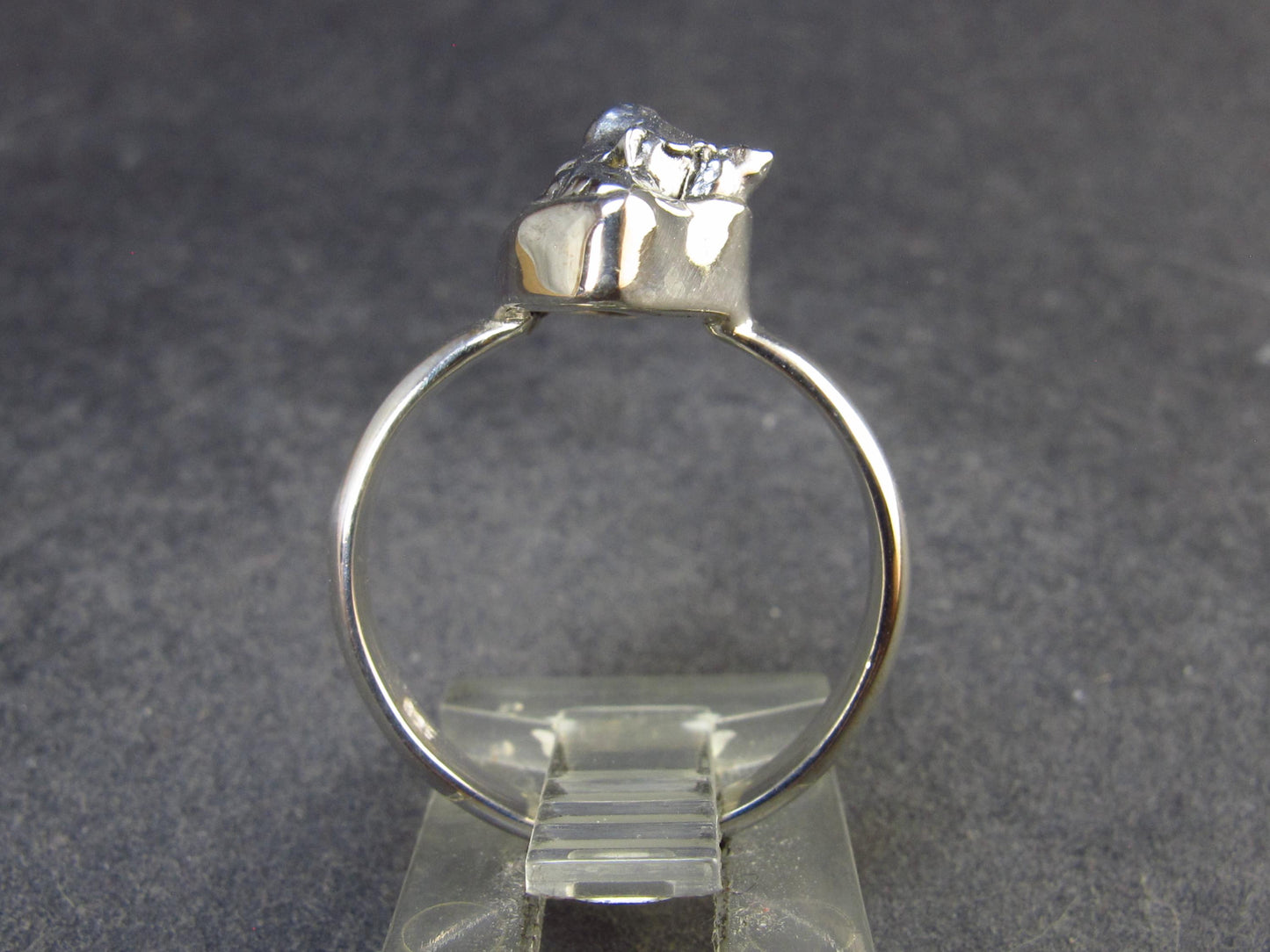 Large Meteorite Campo Del Cielo Sterling Silver Ring from Argentina - 3.77 Grams - Size 8