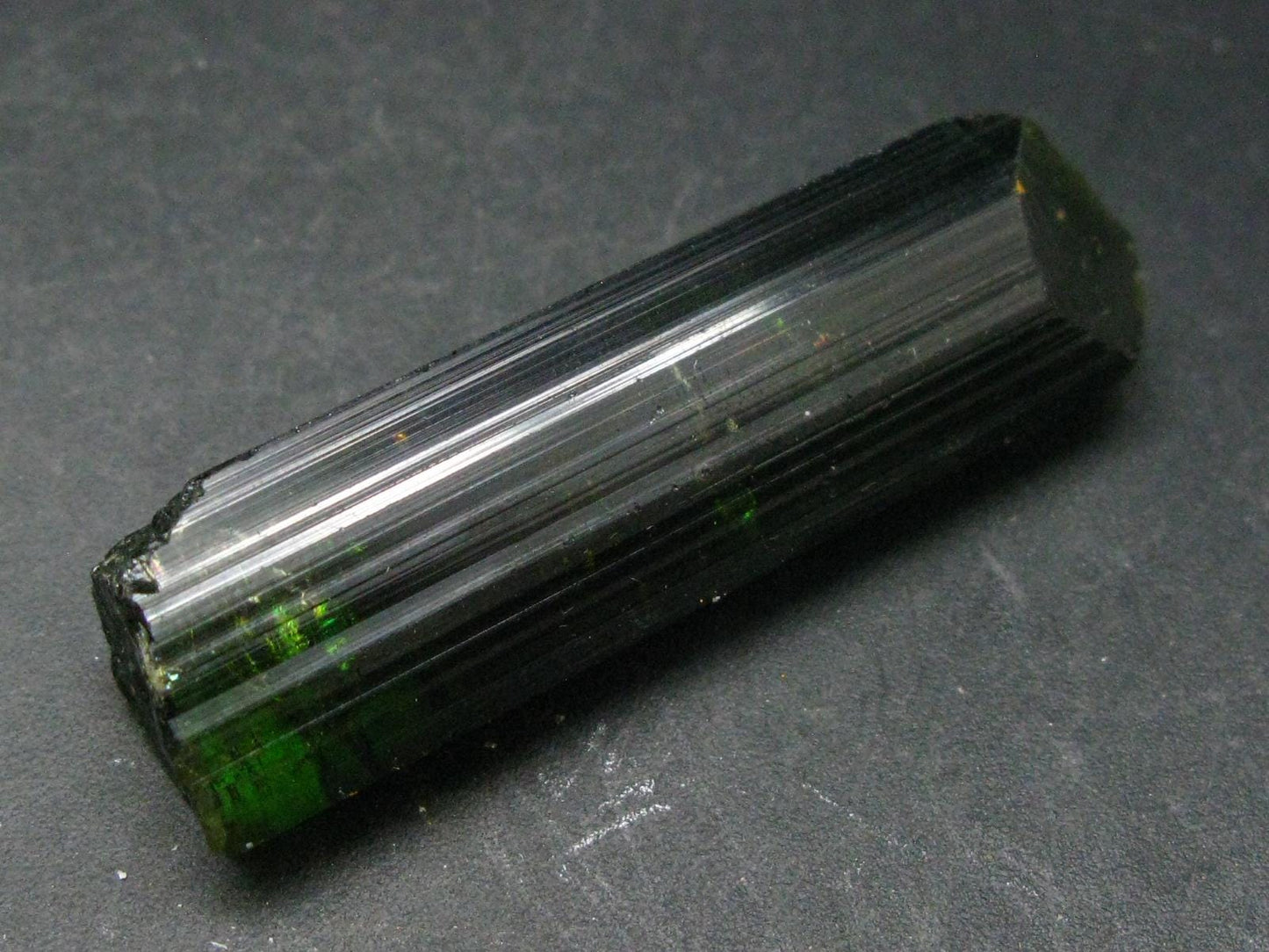 Green Tourmaline Crystal From Brazil - 2.4" - 148.40 Carats