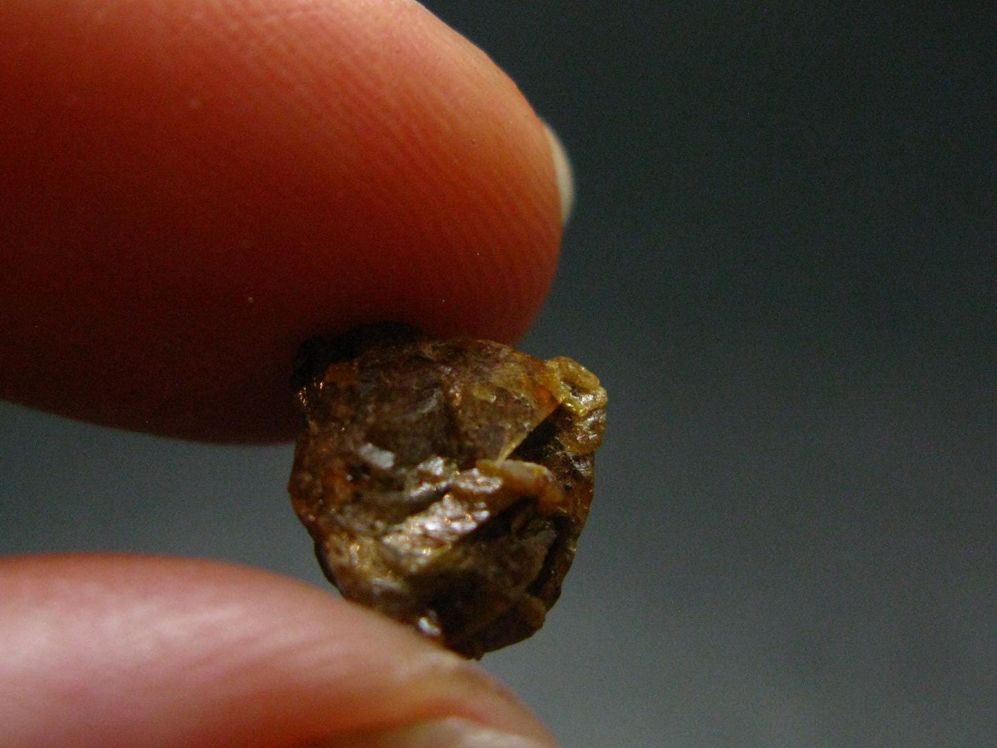 Rare Monazite Crystal From Brazil - 0.4" - 1.0 Grams