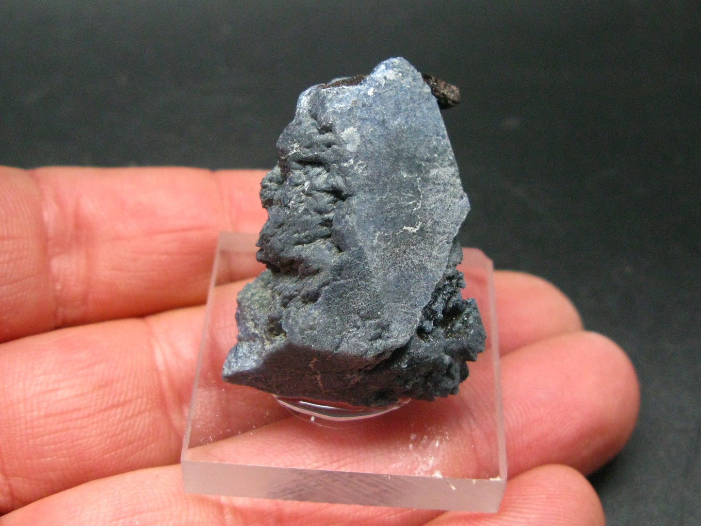 Large Benitoite Crystal From California with Neptunite - 105 Carats - 1.4"