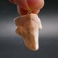Natrolite Sterling Silver Pendant Necklace From Indonesia - 1.2" - 4.42 Grams