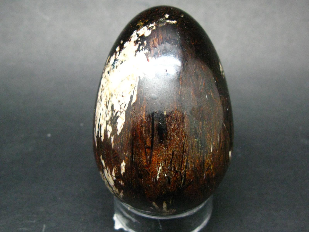 Large Astrophylite Astrophyllite Egg From Russia - 2.5"