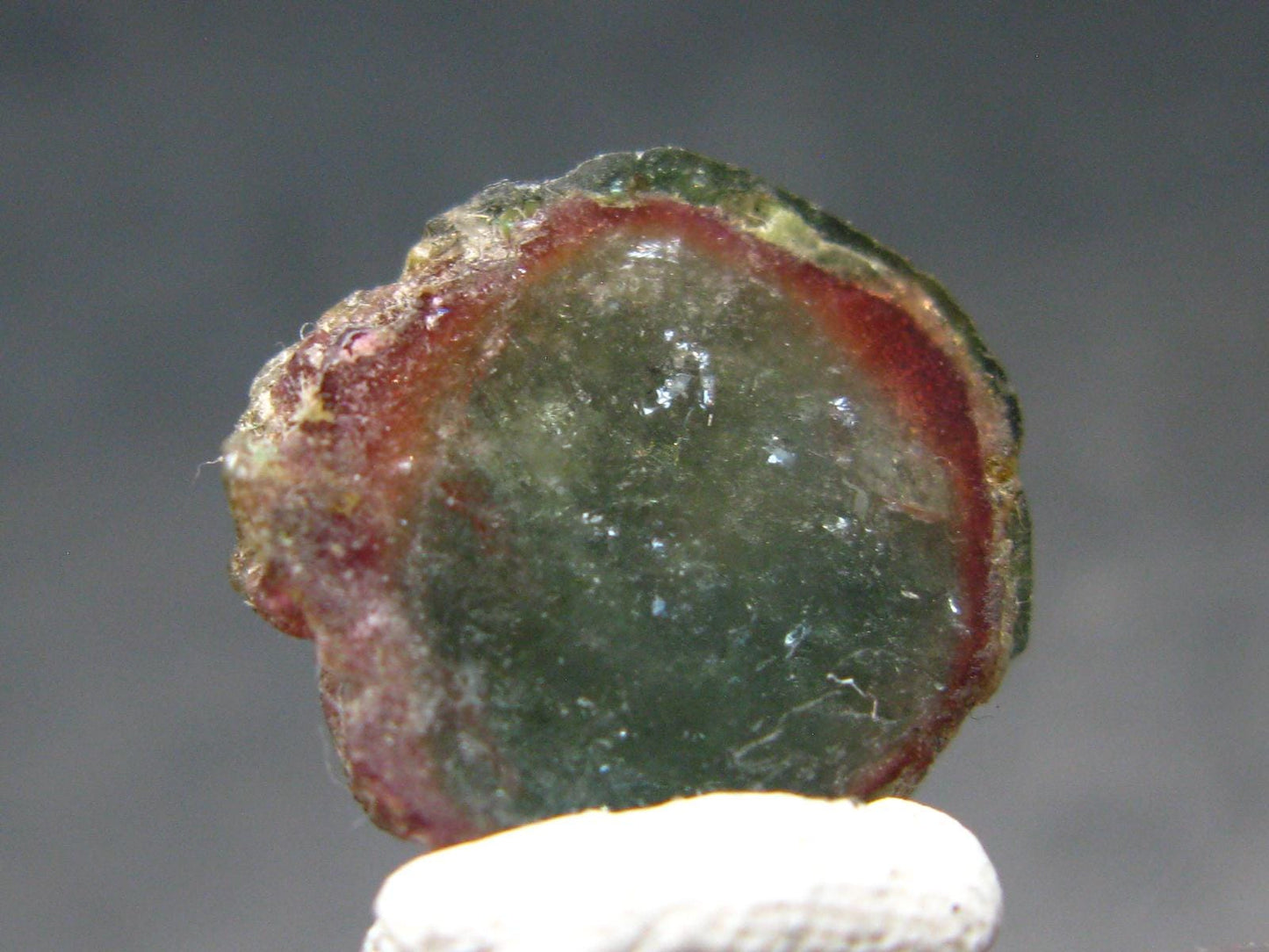 Rare Watermelon Tourmaline Crystal Slice From Brazil - 7.01 Carats