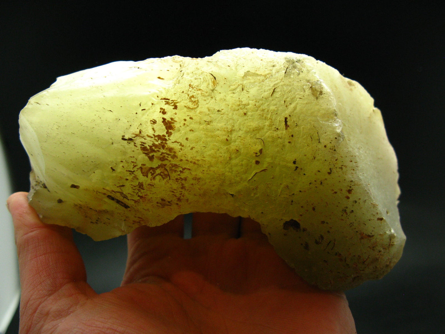 Huge Gem Libyan Tektite Glass From Libya - 844 Grams - 6.3"