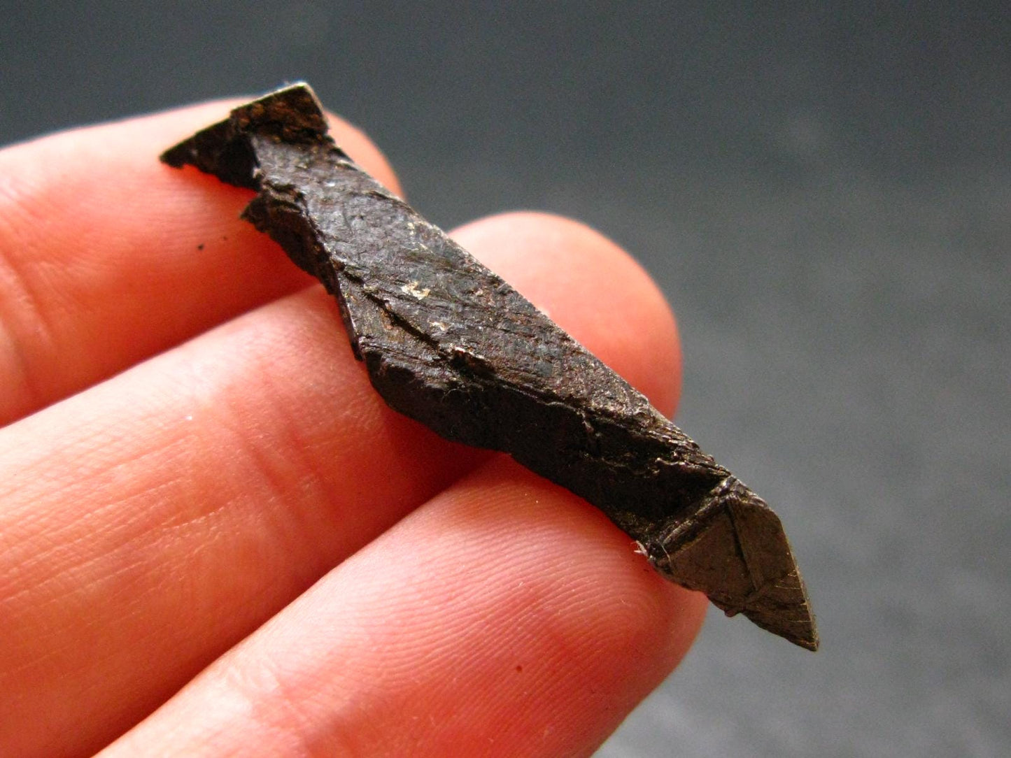 Large Gibeon Meteorite From Namibia - 1.5" - 4.15 Grams