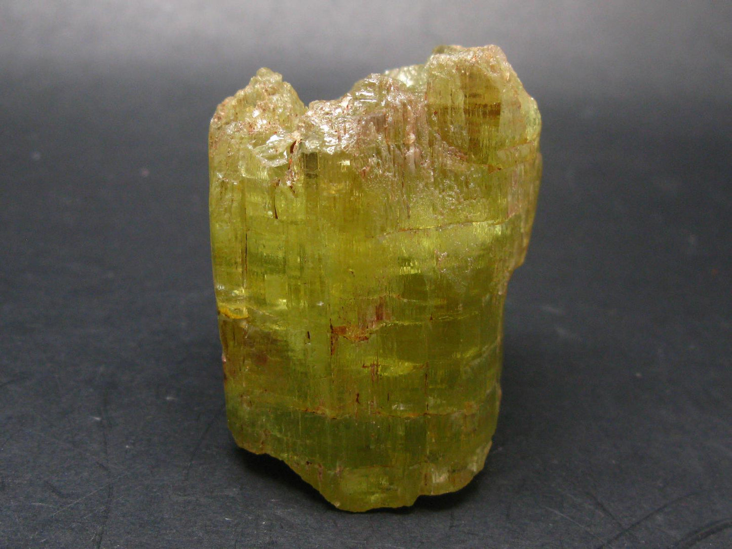 Gem Heliodor Golden Beryl Crystal From Tanzania - 243.63 Grams - 2.6"