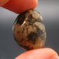 Genuine Phenakite Phenacite Tumbled Crystal from Russia - 40.95 Carats - 0.9"