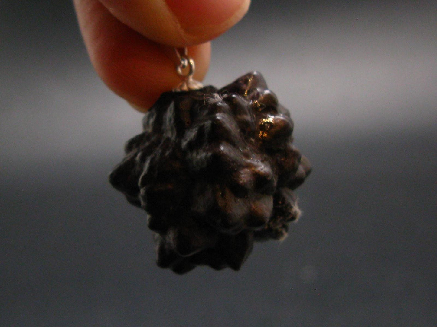 Very Rare Z-Stone (Limonite after Marcasite) Silver Pendant from Sahara Dessert, Egypt - 1.1" - 15.04 Grams