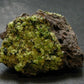 Rare Gem Peridot Cluster from Arizona, USA - 2.6"