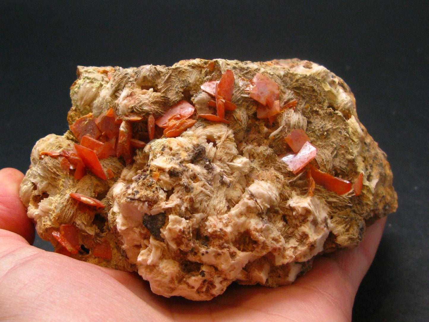 Wulfenite Cluster From Morocco - 4.0"