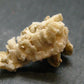 Rare Herderite Crystal from Brazil - 2.27 Grams - 0.9"