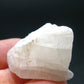 Phenakite Phenacite Gem Crystal from Brazil - 1.0" - 55.80 Carats