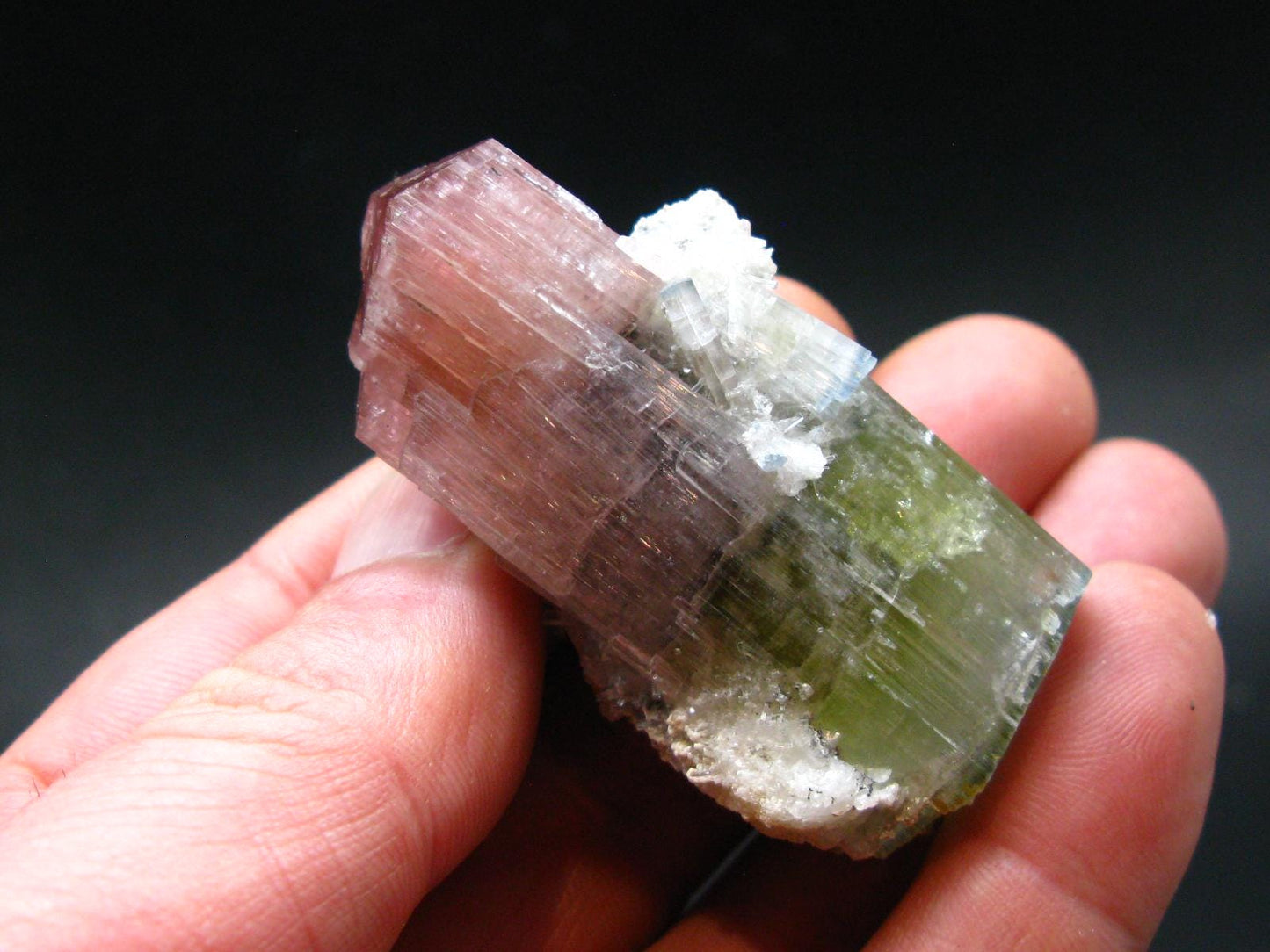 Rare Watermelon Tourmaline Crystal From Pakistan - 2.3" - 56 Grams
