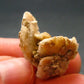 Herderite Cluster from Brazil - 3.32 Grams - 0.9"