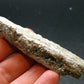 Green Kyanite Crystal From Brazil - 3.2" - 24.71 Grams