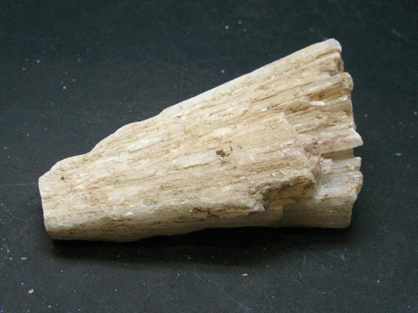 Scolecite Crystal From Namibia - 3.0" - 76.57 Grams