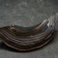 Very Cool Fordite "Detroit Motor City Agate" from Michigan - 1.9"- 4.34 Grams