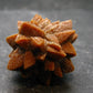 Glendonite (Ikaite after Calcite) Crystal From Russia - 1.0" - 9.0 Grams