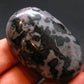 Gabbro Mystic Merlinite Tumbled Piece From Indian Ocean - 2.0"