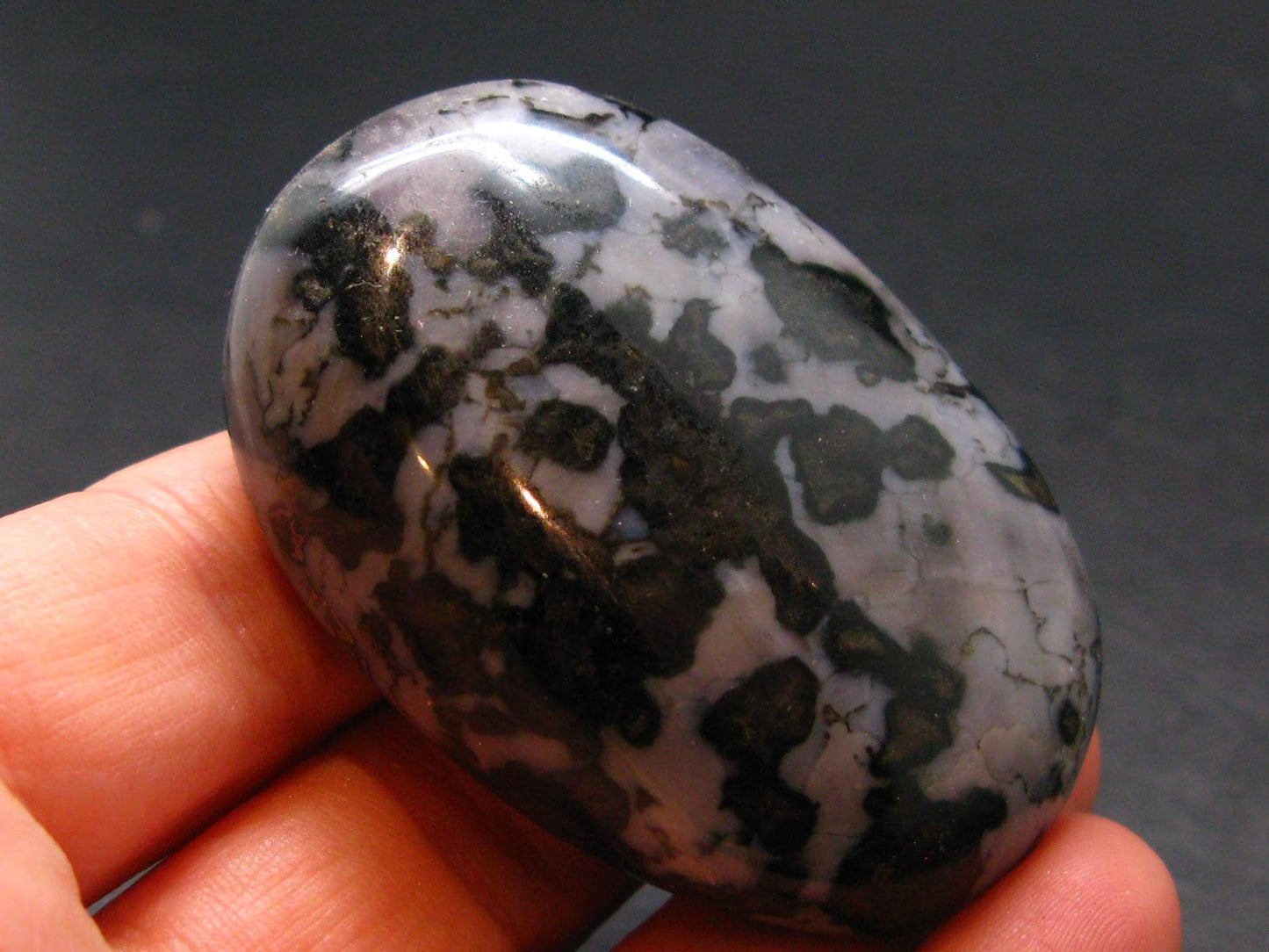 Gabbro Mystic Merlinite Tumbled Piece From Indian Ocean - 2.0"