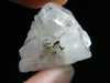 Phenakite Phenacite Gem Crystal from Brazil 57.45 Carats