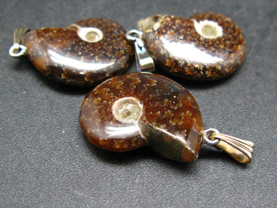 Lot of Three Natural Whole Polished Agatized Ammonite Cleoniceras Pendant from Madagascar