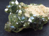 Rare Demantoid Garnet Cluster from Madagascar - 2.3" - 38.8 Grams