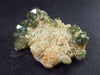 Rare Demantoid Garnet Cluster from Madagascar - 2.3" - 38.8 Grams