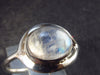 Natural Oval Shaped Glow From Inside Moonstone 925 Silver Ring - Size 8 - 2.6 Grams