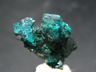 Very Nice Dioptase Crystal from Congo - 1.0"