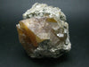Rare Scheelite Cluster from China - 2.8"